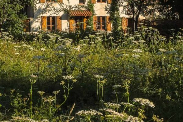 gite-narcisse-gresse-en-vercors-3